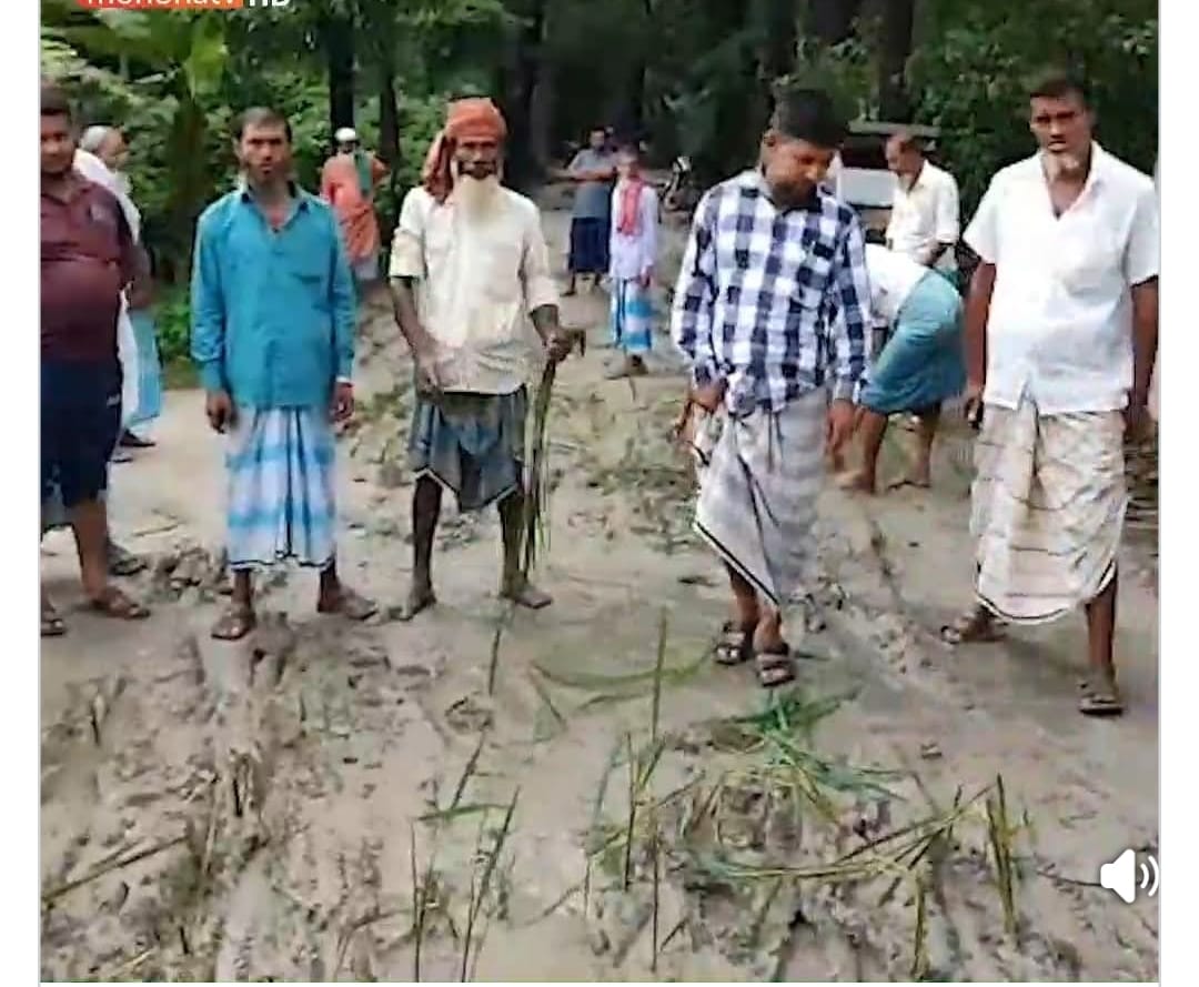 নোয়াখালী কবিরহাটে ৩ কিলোমিটার সড়কের বেহাল অবস্থা: ধানগাছ রোপণ করে প্রতিবাদ